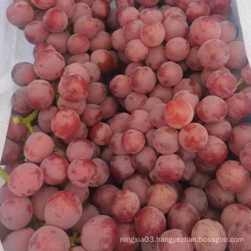 China xinjiang grape sweet grape fresh red grape